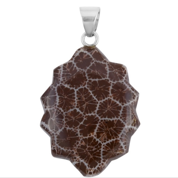 NEW Sponge Coral Brown Fancy Pendant in Sterling Silver - Picture 8 of 11